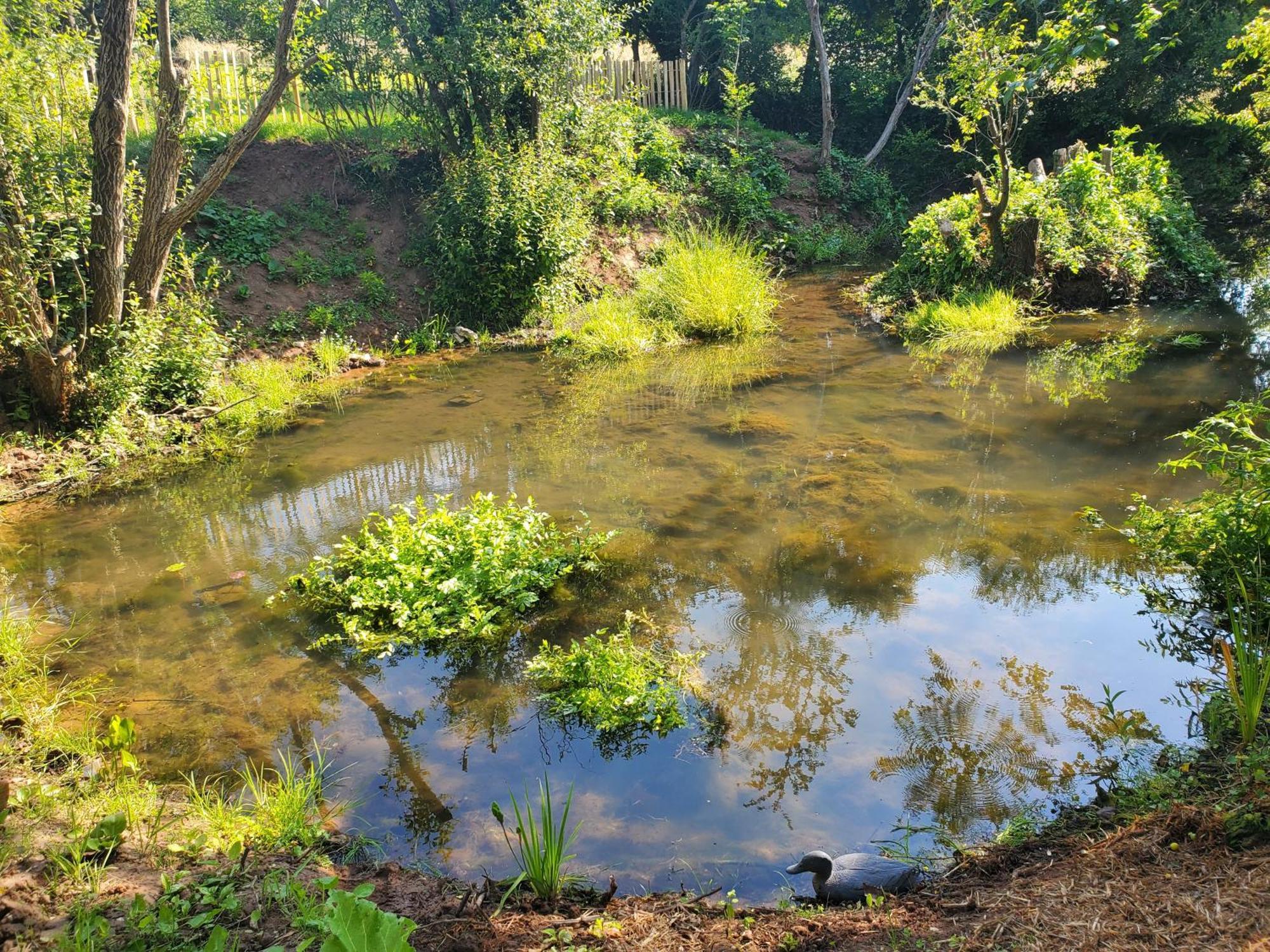 Le Clos Des Sources Isigny-sur-Mer Zewnętrze zdjęcie